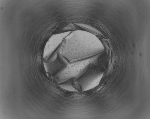 X0000078290697200612011809