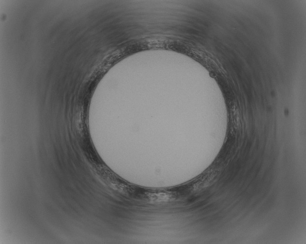 X0000078290698200612011809