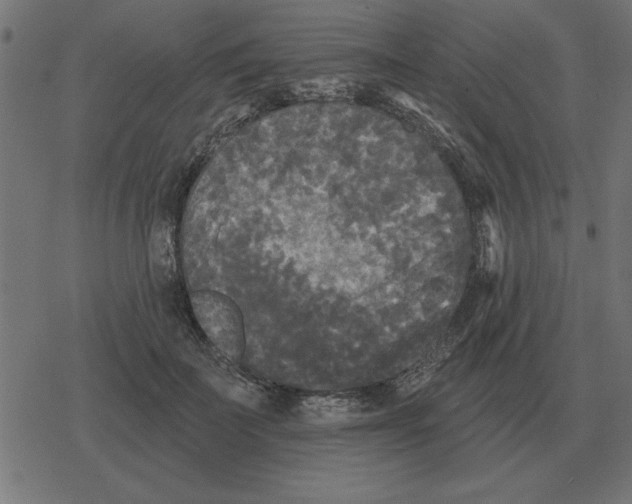 X0000078290699200612011809