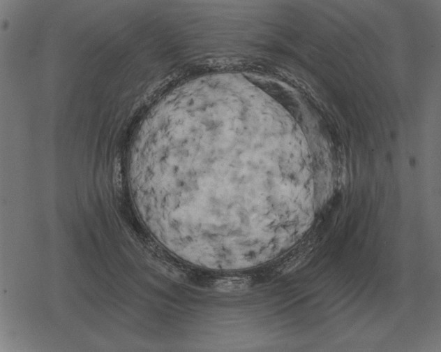 X0000078290700200612011809