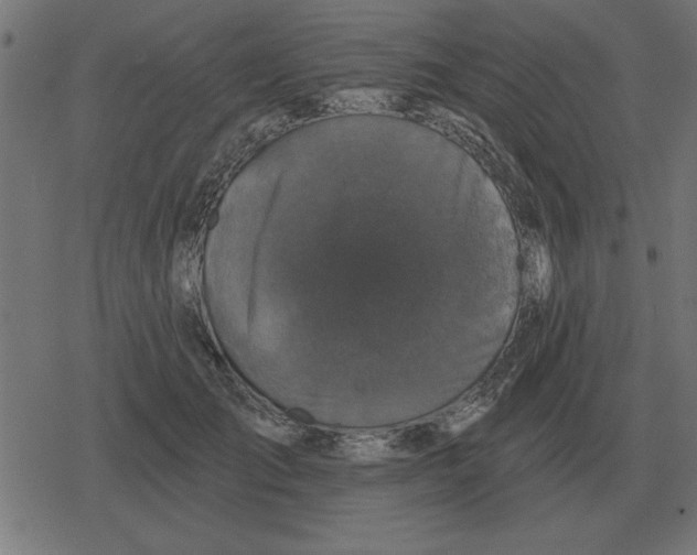 X0000078290701200612011809