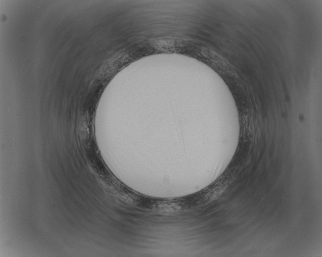 X0000078290702200612011809