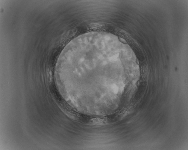 X0000078290703200612011809