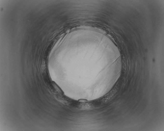 X0000078290704200612011809