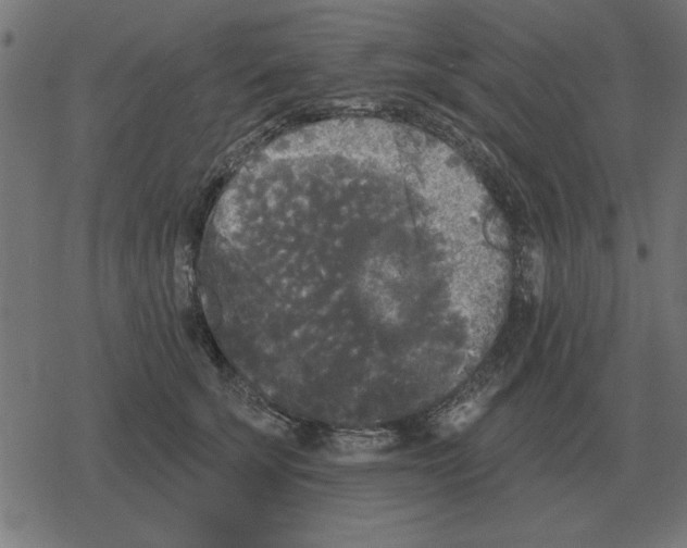 X0000078290707200612011809