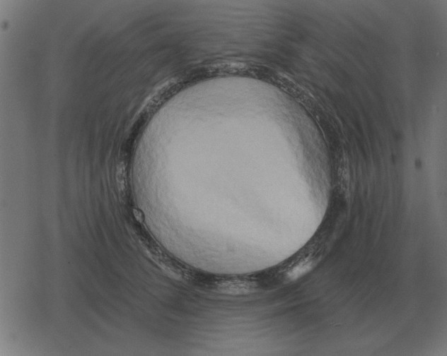 X0000078290708200612011809