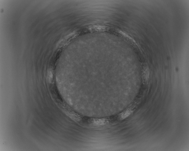 X0000078290709200612011809