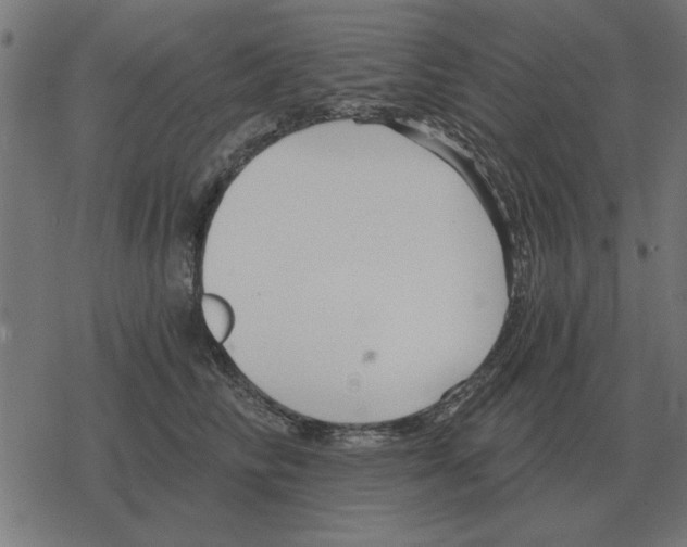 X0000078290710200612011809