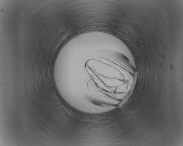 X0000078290712200612011809