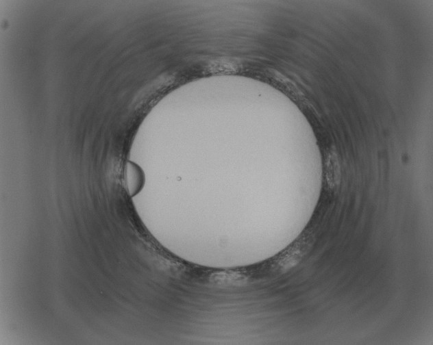 X0000078290714200612011809