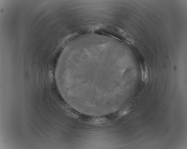 X0000078290716200612011809