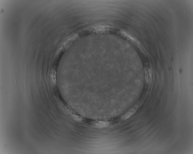 X0000078290718200612011809