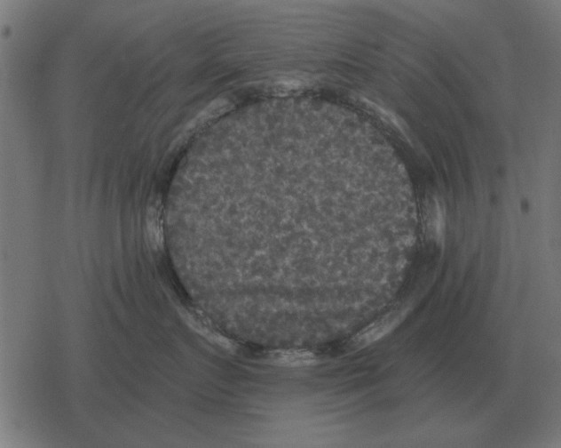 X0000078290719200612011809