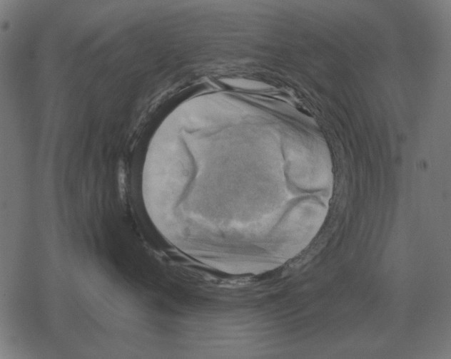 X0000078290720200612011809