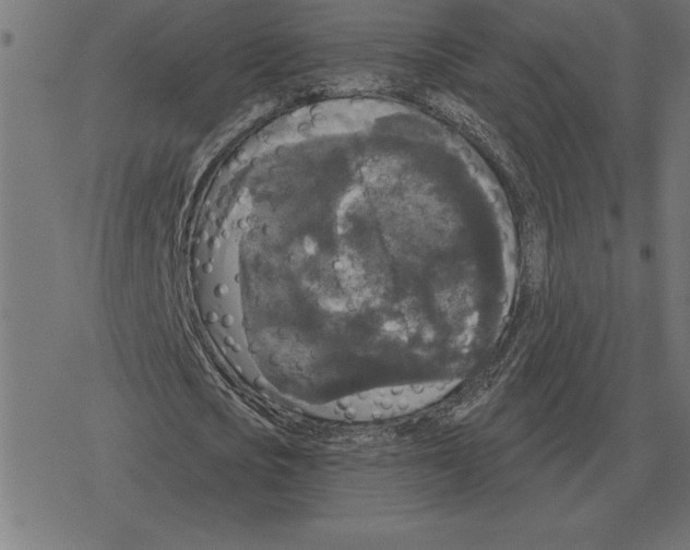 X0000078290721200612011808