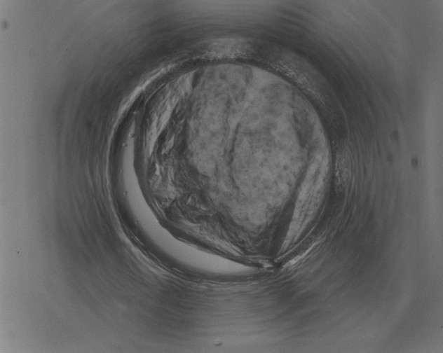 X0000078290722200612011808