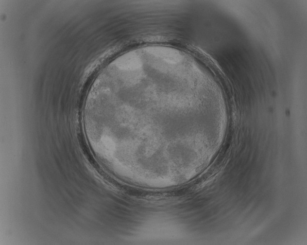 X0000078290725200612011808