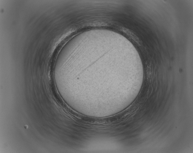 X0000078290727200612011808