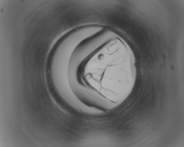 X0000078290728200612011808