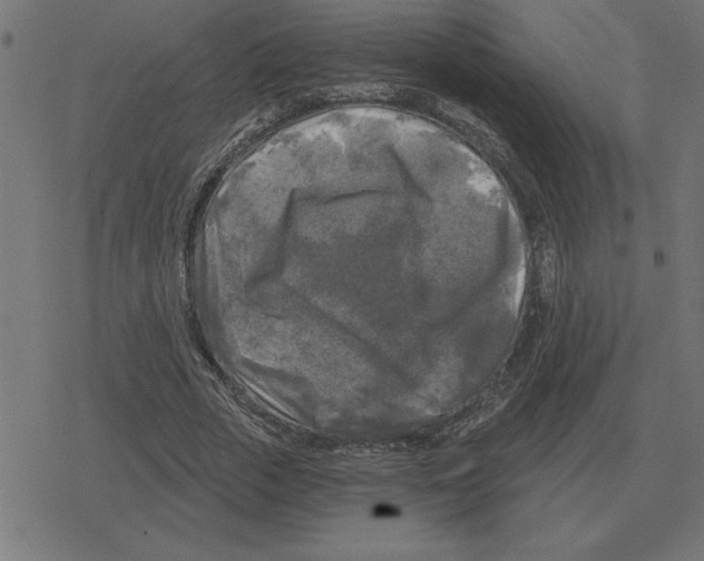 X0000078290729200612011808