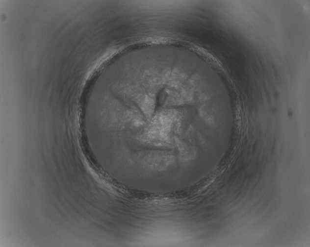 X0000078290730200612011808