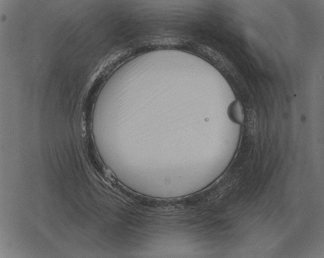 X0000078290731200612011808