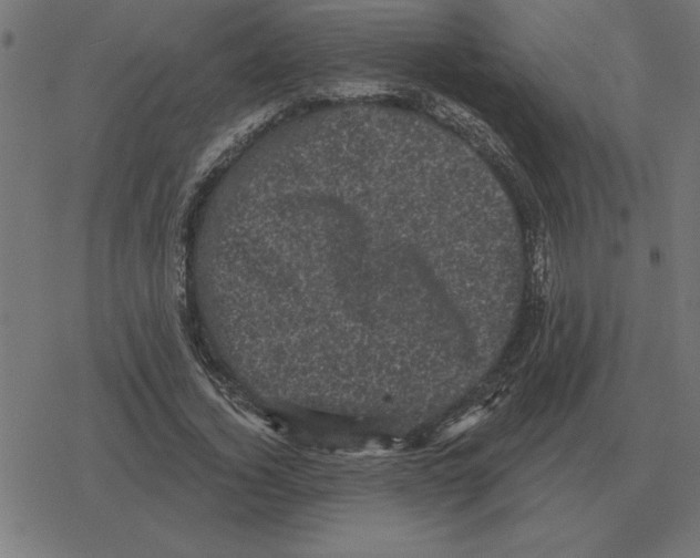 X0000078290732200612011808