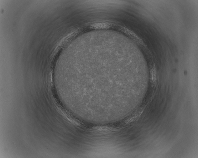 X0000078290733200612011808