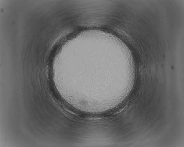 X0000078290735200612011808