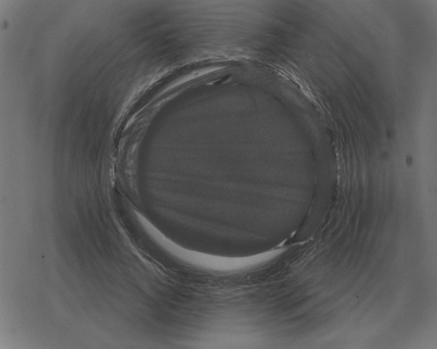 X0000078290736200612011808