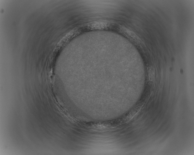 X0000078290737200612011808