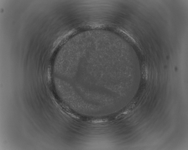 X0000078290740200612011808