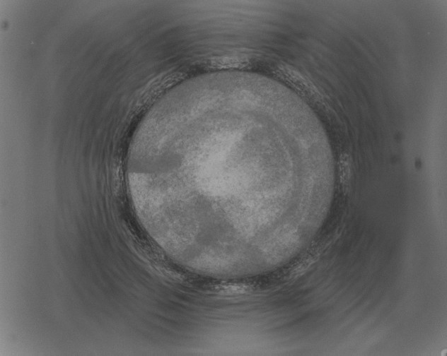 X0000078290741200612011808