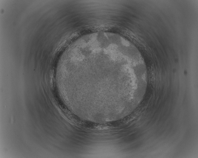 X0000078290742200612011808