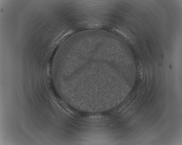 X0000078290744200612011808