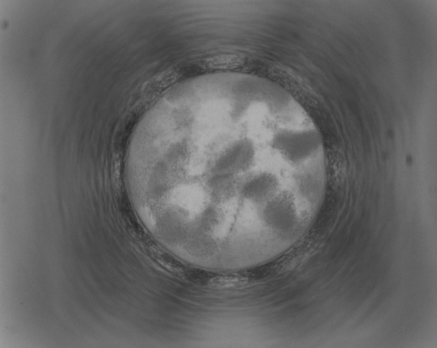 X0000078290745200612011808