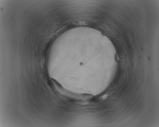 X0000078290747200612011808