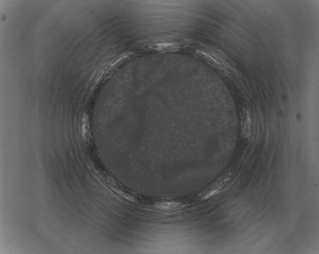 X0000078290748200612011809