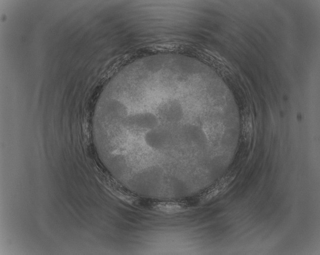 X0000078290749200612011809