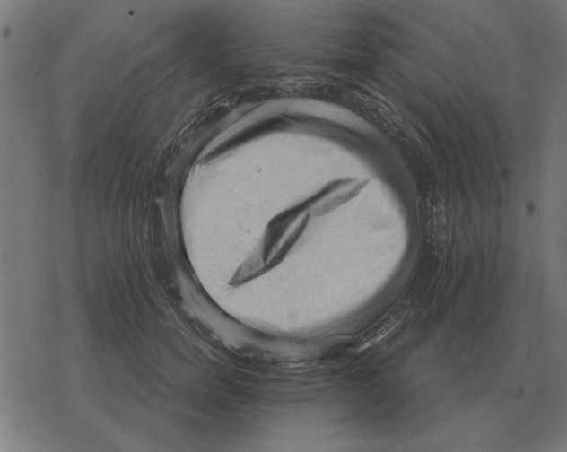 X0000078290750200612011809