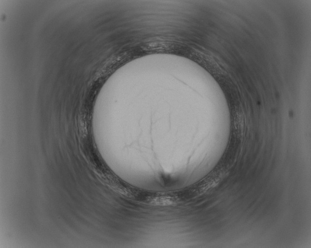 X0000078290751200612011809