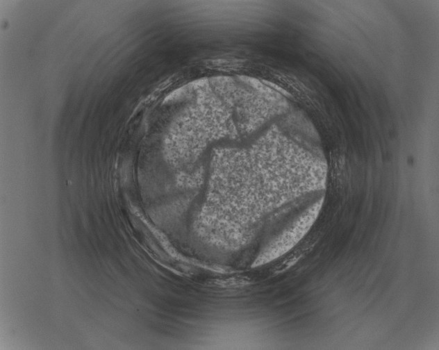 X0000078290752200612011809