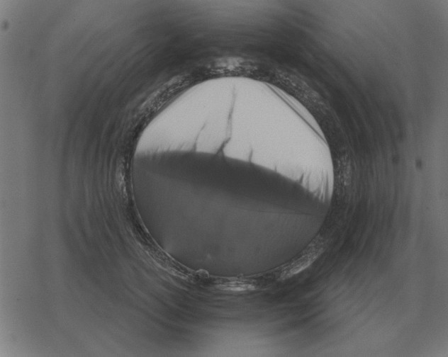 X0000078290754200612011809