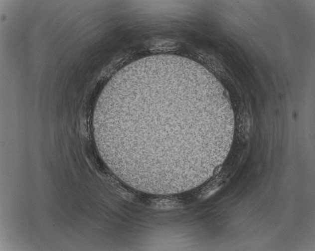 X0000078290755200612011809