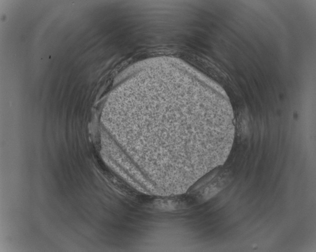 X0000078290764200612011809