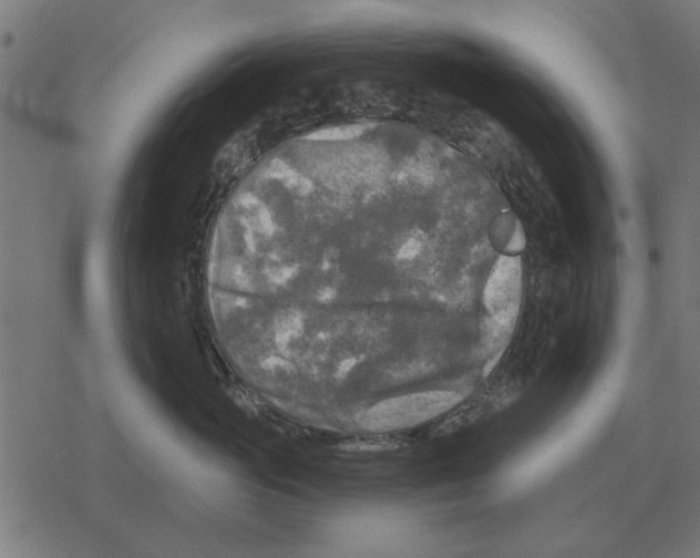 X0000078290765200612011809