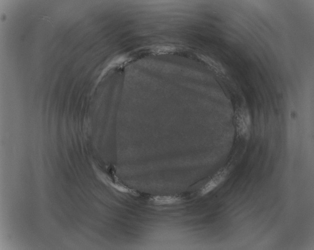 X0000078290766200612011809