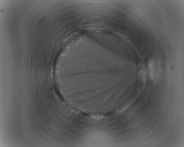 X0000078290767200612011809