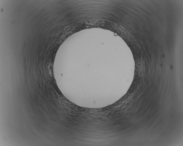 X0000078290770200612011808