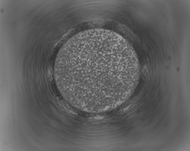 X0000078290772200612011808